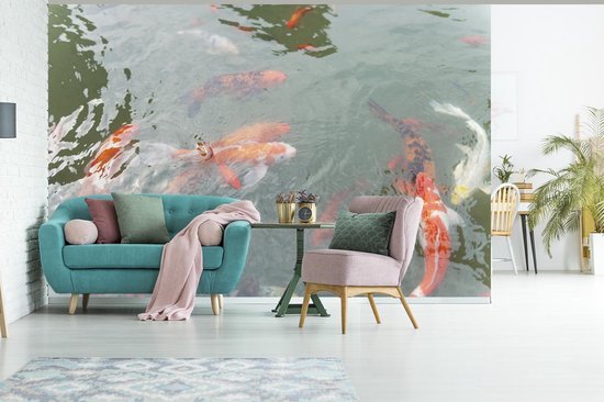 Papier peint Papier peint photo en vinyle - Un groupe de carpes koï dans un étang largeur 330 cm x hauteur 220 cm - Tirage photo sur papier peint (disponible en 7 tailles)