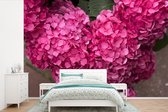 Behang - Fotobehang Close up roze hortensia bloemen - Breedte 450 cm x hoogte 300 cm