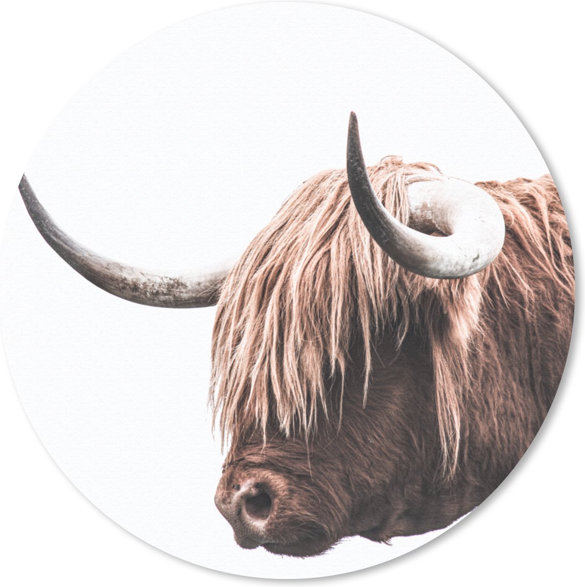 Muismat rond 20x20 cm - Mousepad Schotse Hooglander - Hoorns - Ronde muismatten