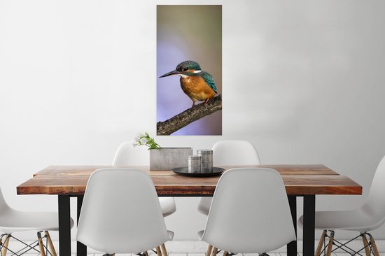 Affiche impression photo Martin-pêcheur - 40x80 cm