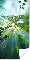 Poster Zonlicht schijnt op een grot in het regenwoud van Maleisië - 40x80 cm