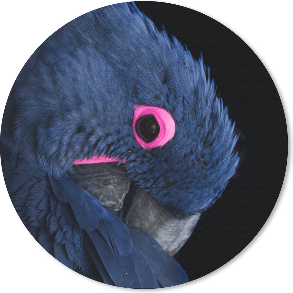 Muismat rond 20x20 cm - Mousepad Papegaai - Roze - Blauw - Ronde muismatten