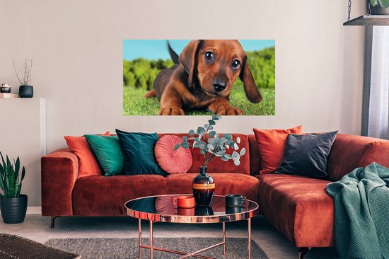Poster Beau ciel au-dessus d'un adorable chiot Teckel - 120x60 cm