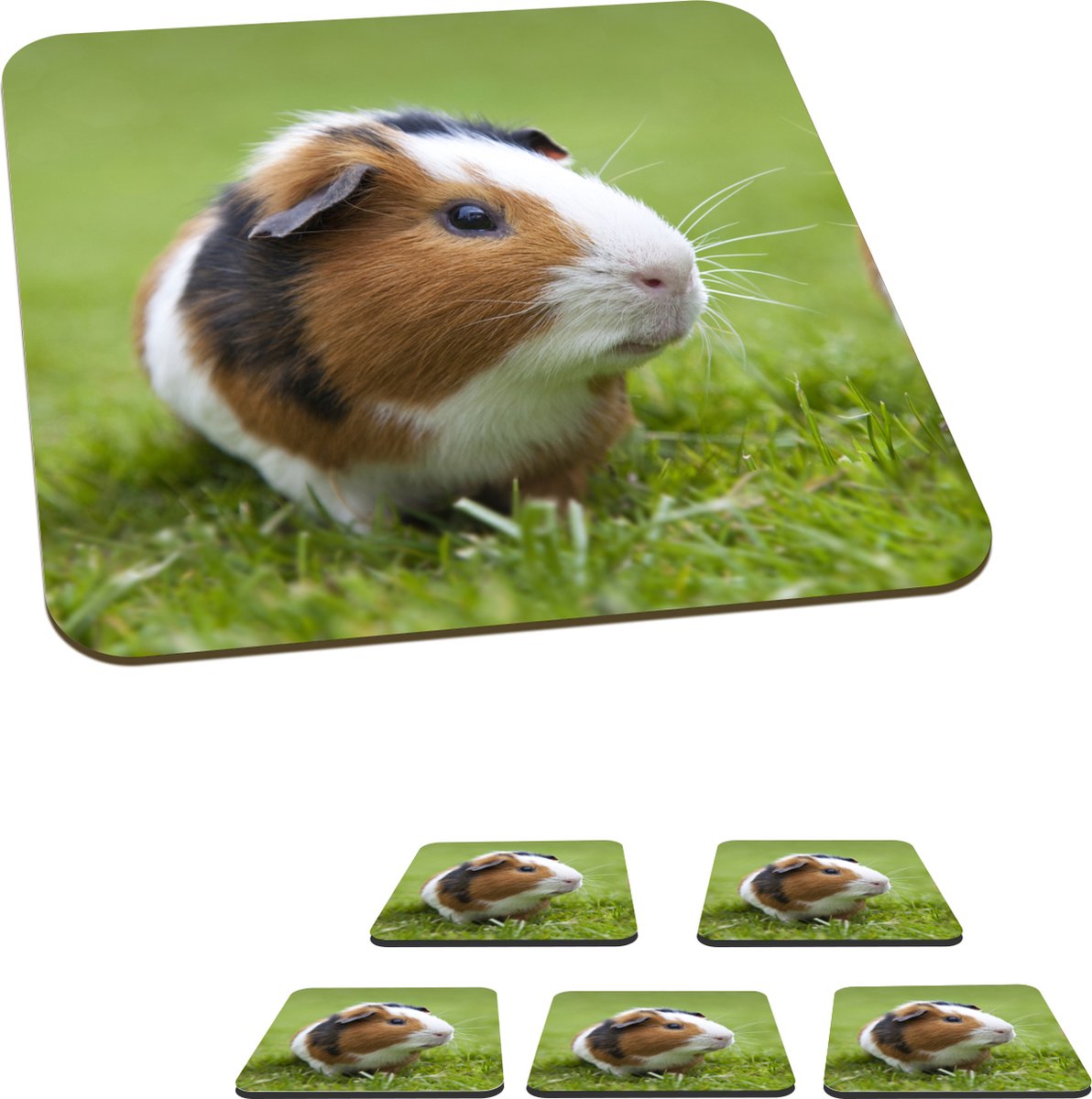 Onderzetters voor glazen - Twee cavia's - 10x10 cm - Glasonderzetters - 6 stuks