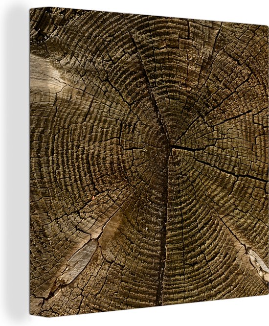 Tableau sur toile Une coupe transversale d'un tronc d'arbre aux cernes clairs - 20x20 cm - Décoration murale