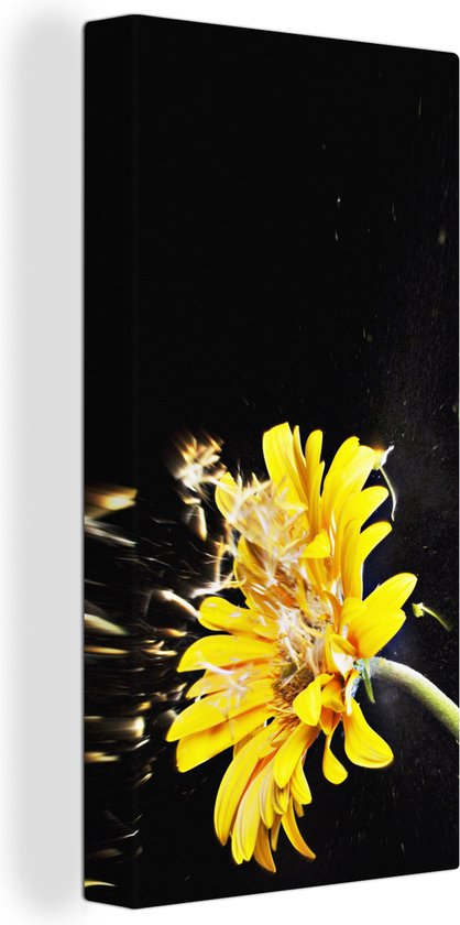 Canvas schilderij 80x160 cm - Wanddecoratie Een oranje gerbera bloem die op zwarte achtergrond is afgebeeld - Muurdecoratie woonkamer - Slaapkamer decoratie - Kamer accessoires - Schilderijen