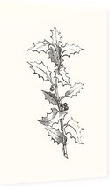 Ilex Hulst zwart-wit (Holly Branch) - Foto op Dibond - 40 x 60 cm