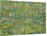 Grasgrond, Vincent van Gogh - Foto op Dibond - 90 x 60 cm