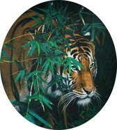 Bengaalse tijger in oerwoud - Foto op Dibond - ⌀ 60 cm