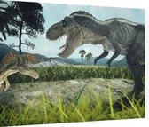 Dinosaurus T-Rex battlefield duo - Foto op Dibond - 80 x 60 cm