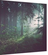 Lichtstralen door het bos bij dauw - Foto op Dibond - 80 x 80 cm