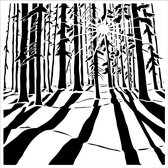 Hobbysjabloon - Template 6x6" 15x15cm sunlit forest