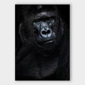 Artistic Lab Poster - Dark Gorilla Dibond - 100 X 70 Cm - Multicolor