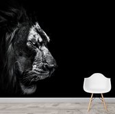 Artistic Lab Poster - Dark Lion - 270 X 160 Cm - Multicolor