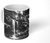 Mok - Een waterval in het Nationaal park Great Smoky Mountains in Amerika - zwart wit - 350 ML - Beker