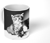 Mok - Twee roodharige kittens - zwart wit - 350 ML - Beker