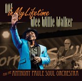 Wee Willie Walker & Anthony Paule Soul Orchestra - Not In My Lifetime (CD)