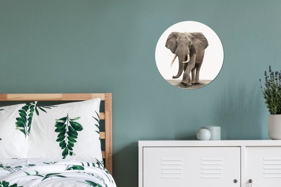 Cercle mural - Cercle mural Indoor - ⌀ 30 cm - Plastique - Animaux - Éléphant - Grijs