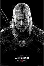 GBeye The Witcher Toxicity Poisoning  Poster - 61x91,5cm