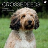 Crossbreeds Kalender 2022