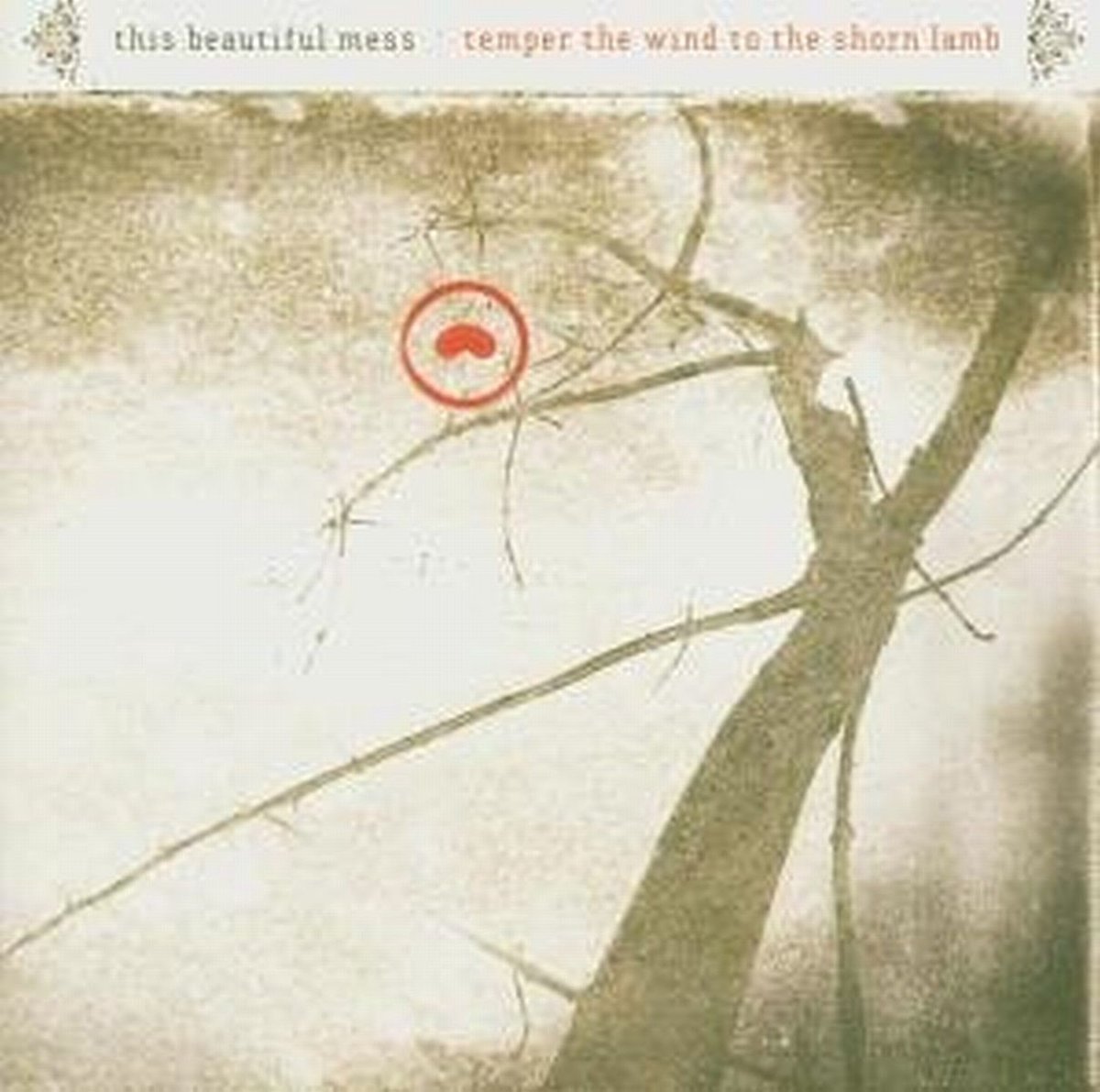 This Beautiful Mess - Temper The Wind To The Shorn Land (CD)