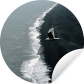 Seagull survole Dyrhólaey en Islande Sticker papier peint cercle mural - wallpaper 30 cm - peinture ronde - cercle papier peint - cercle mural - cercle vivant - autocollant et découpe ronde