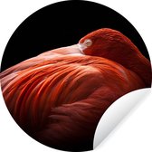 Papier peint cercle - Flamingo - Ressorts - Rose - ⌀ 120 cm - Mur cercle - Autocollant - Papier peint autocollant XXL