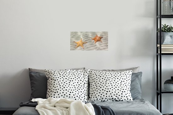 Stickers muraux - Étoile de mer - Water - Plage - 40x20 cm - Film adhésif