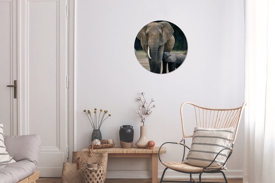 Cercle Mural - Cercle Mural Intérieur - Bébé éléphant nourri par sa mère - ⌀ 30 cm - Décoration murale - Peintures Ronds