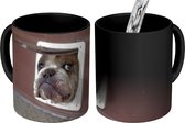 Magische Mok - Foto op Warmte Mokken - Koffiemok - Hond - Grappig - Kattenluik - Kinderen - Jongens - Meisjes - Kids - Magic Mok - Beker - 350 ML - Theemok