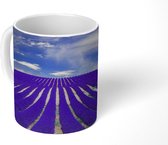 Mok - Rijen van lavendelplanten - 350 ML - Beker