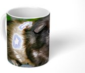 Mok - Koffiemok - Cavia's in de tuin - Mokken - 350 ML - Beker - Koffiemokken - Theemok