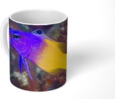 Mok - Kleurrijke koraalrifvis - 350 ML - Beker