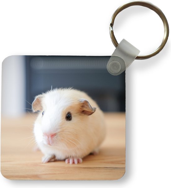 Sleutelhanger - Uitdeelcadeautjes - Schattige baby cavia - Plastic