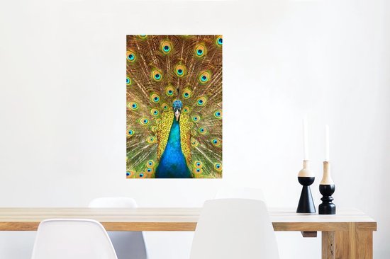 Affiche Paon - Vogel - Blauw - 60x90 cm