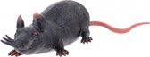 rat Animal World 30 cm zwart