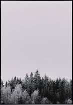 Poster van prachtige bomen bedekt met sneeuw - 40x50 cm