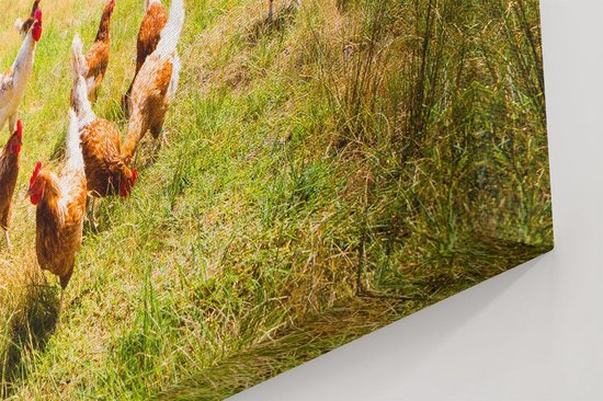 Artaza - Peinture sur Toile - Poules dans l'Herbe - 120x60 - Groot - Photo sur Toile - Impression sur Toile
