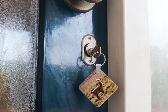 Porte-clés - Cadeaux - Alpaga - Herbe - Animal - Plastique