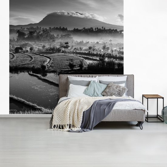 Papier peint Papier peint photo en vinyle - Rizières de Tirtagangga à Bali en Indonésie - noir et blanc largeur 220 cm x hauteur 220 cm - Tirage photo sur papier peint (disponible en 7 tailles)