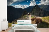 Behang - Fotobehang Alpaca in Machu Picchu - Breedte 390 cm x hoogte 260 cm