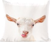 Animaux - Chèvre - Wit