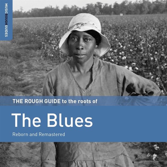 Various Artists - The Rough Guide To The Roots Of The Blues (CD)