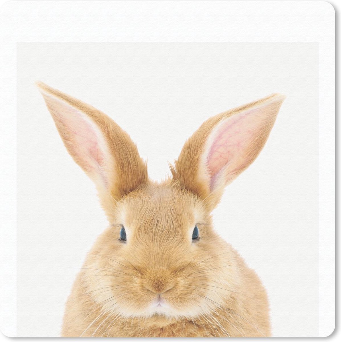 Muismat 30x30 cm - Mousepad Dieren - Konijn - Wit - Muismatten