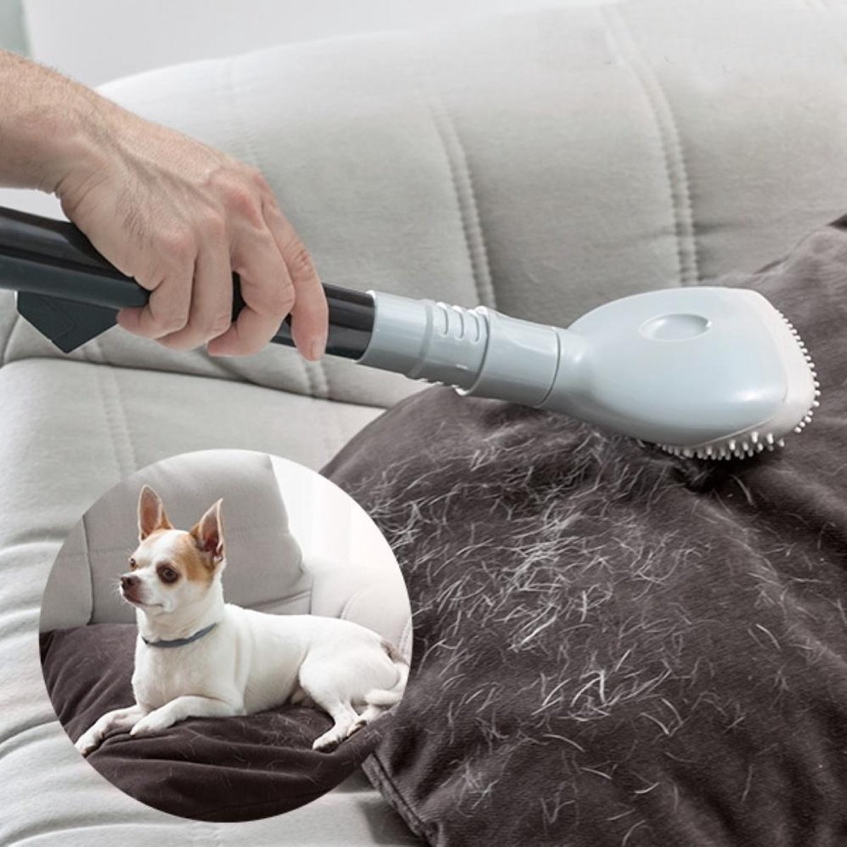 Borstelharen - Stofzuiger - Hond haar - InnovaGoods - Vacuum - Haar  Verwijderborstel | bol