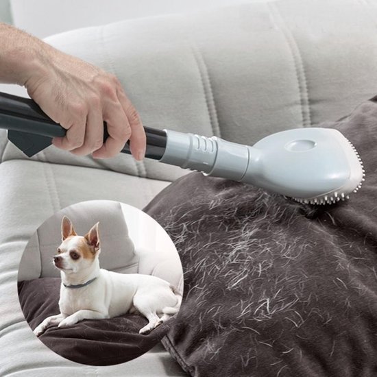 onderbreken voorbeeld Ooit Borstelharen - Stofzuiger - Hond haar - InnovaGoods - Vacuum - Haar  Verwijderborstel | bol.com