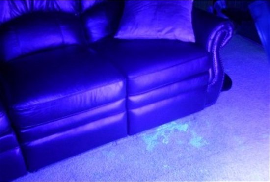Höfftech UV Zaklamp 51 Ultra Violet LED's - Blacklight - Robuuste Aluminium Behuizing - Detector voor Vals geld, Urine & Overige Vlekken