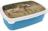 Broodtrommel Blauw - Lunchbox - Brooddoos - Twee knuffelende fjord paarden in de herfst - 18x12x6 cm - Kinderen - Jongen