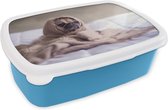 Broodtrommel Blauw - Lunchbox - Brooddoos - Hond - Deken - Bed - 18x12x6 cm - Kinderen - Jongen