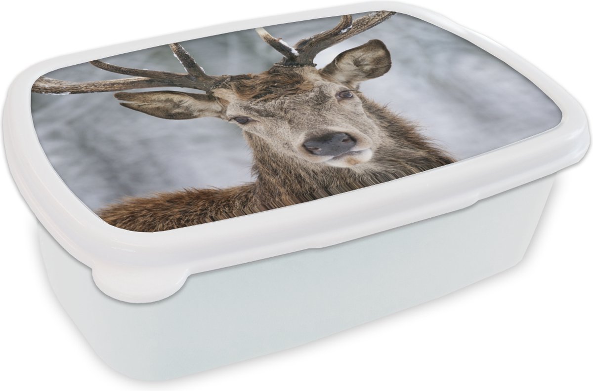 Broodtrommel Wit - Lunchbox - Brooddoos - Hert - Gewei - Sneeuw - 18x12x6 cm - Volwassenen